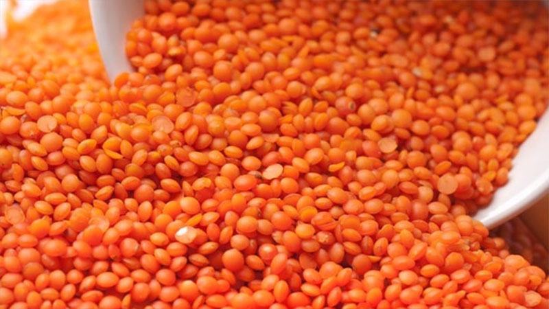 টিসিবির জন্য ১০ হাজার টন মসুর ডাল কিনবে সরকার