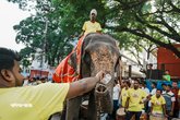 Jonmashtami_AHR_040926_006
