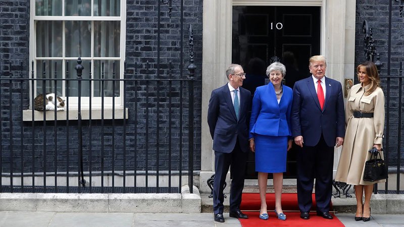 Larry-The-britain's-cat