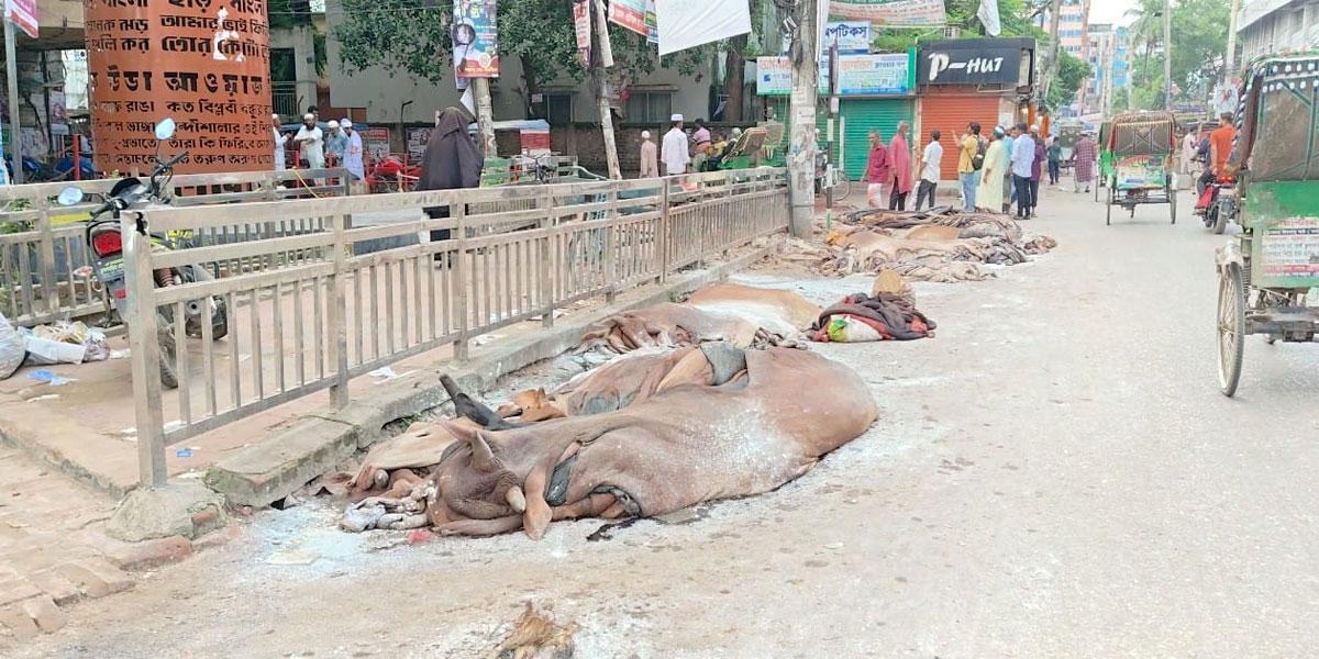 ব্রাহ্মণবাড়িয়ায় রাস্তার পাশে চামড়া ফেলে গেছেন ব্যবসায়ীরা