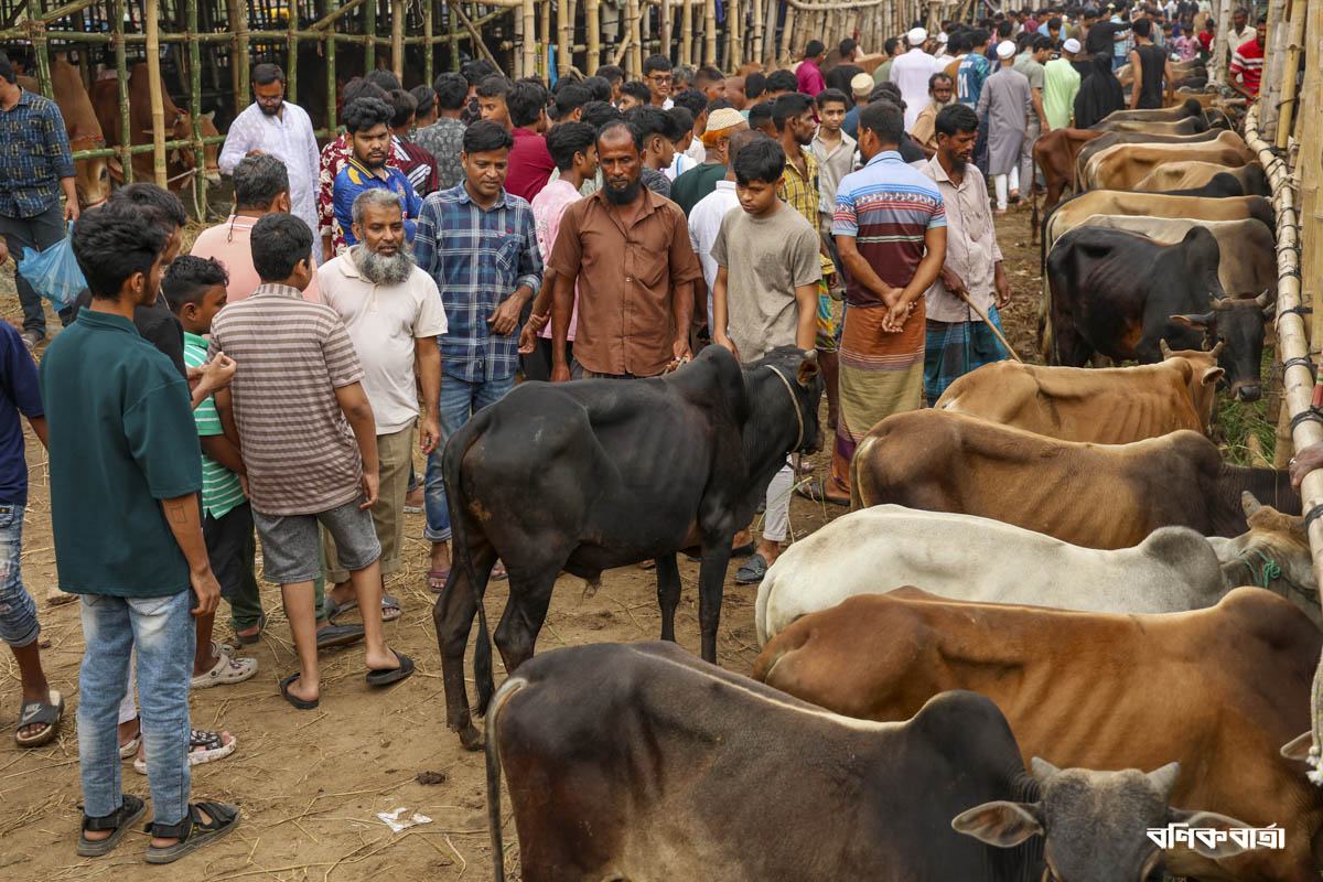 রাজধানীতে জমে উঠছে পশুর হাট