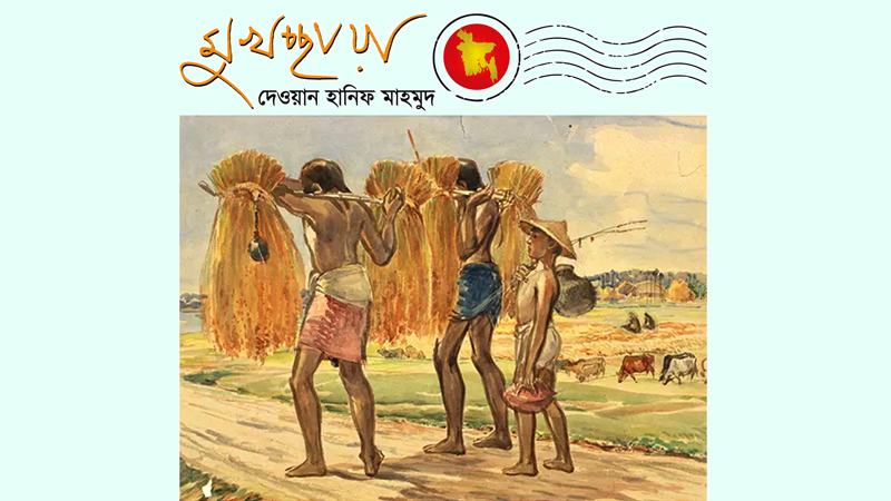 ধানের দেশে ভাতের কষ্ট