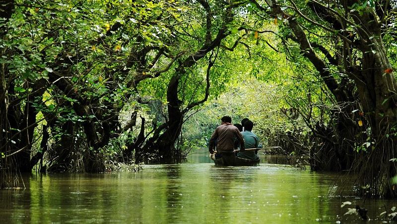 দেশের একমাত্র সোয়াম্প ফরেস্ট রাতারগুল