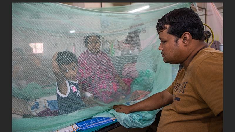 ডেঙ্গুতে আরো ৪ জনের মৃত্যু, হাসপাতালে ১১৮১