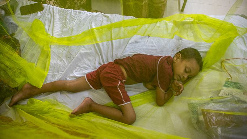 ডেঙ্গুতে আরো চার জনের মৃত্যু,  আক্রান্ত এক লাখ ছাড়াল