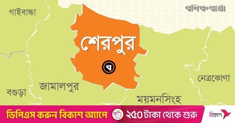 শেরপুরে নিজের ধানক্ষেতে মিলল কৃষকের মরদেহ