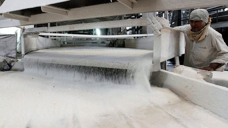 নেই সরবরাহ সংকট, তবু ভারতে বাড়ছে চিনির দাম