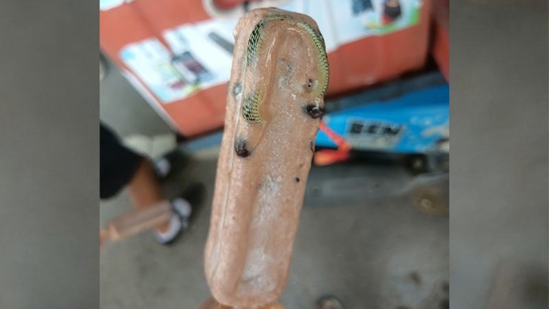 আইসক্রিমের ভেতর আস্ত সাপ!