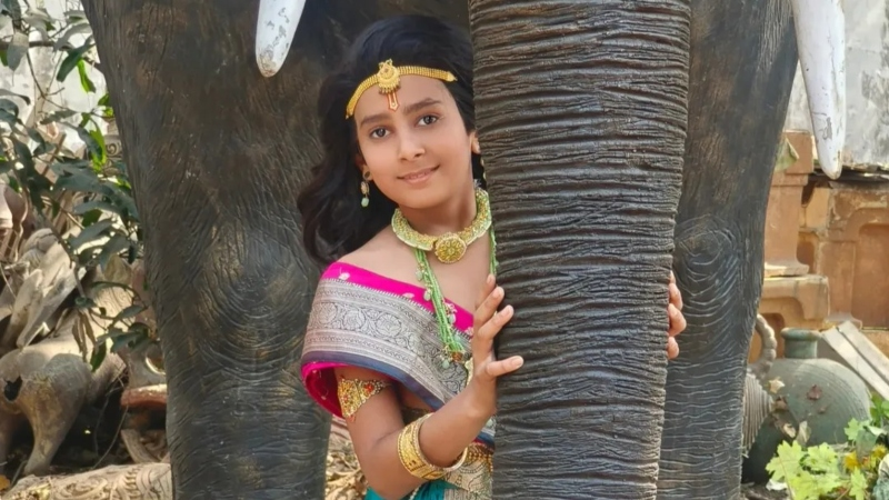 অগ্নিকাণ্ডে শিশু অভিনেতা বীর শর্মা ও তার ভাইয়ের মৃত্যু