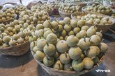 Wood_Apple_Fruit_MAS_160925_1