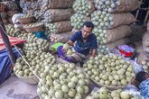 Wood_Apple_Fruit_MAS_160925_2
