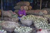 Wood_Apple_Fruit_MAS_160925_4