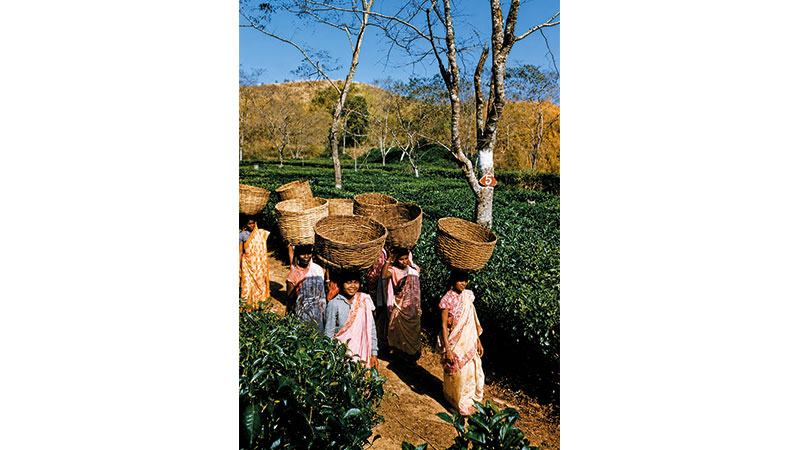 টি ক্লাবে নিয়মিত উপস্থিতি ছিল অলিখিত নিয়ম