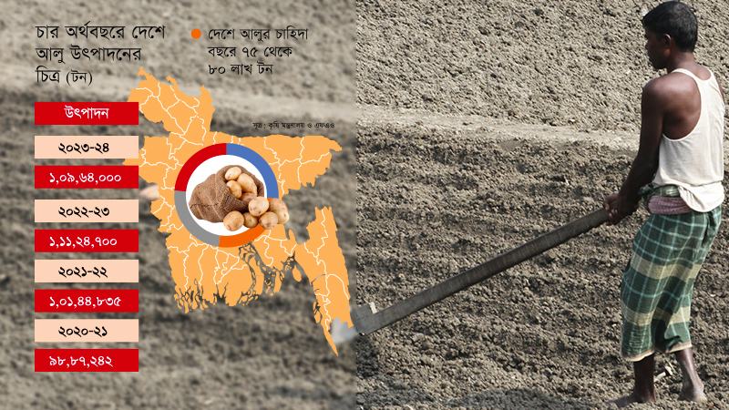 আলুবীজের তীব্র সংকট বেশি দামে কিনতে হচ্ছে কৃষককে