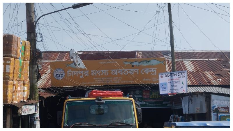 চাঁদপুরে হচ্ছে আধুনিক ইলিশ অবতরণ কেন্দ্র