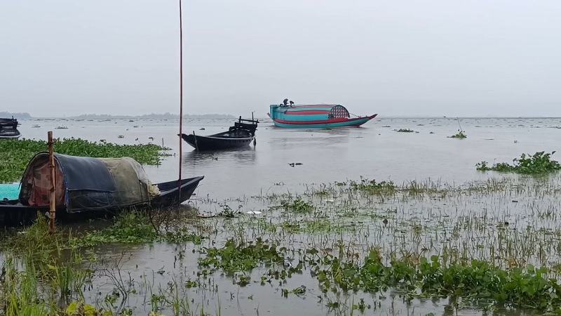 ব্রাহ্মণবাড়িয়ায় হাওরে বেড়েছে পানি, তলিয়ে গেছে ৩০৫ হেক্টর ধান