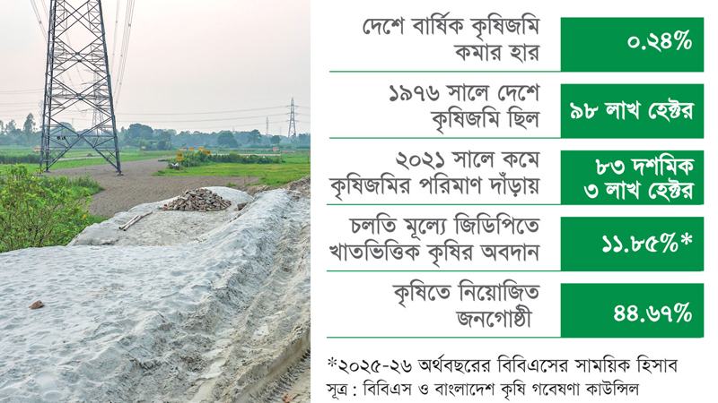 নগরায়ণ, বসতি, অবকাঠামো ও নদীভাঙনে বছরে কৃষিজমি কমছে ৬৯ হাজার হেক্টর