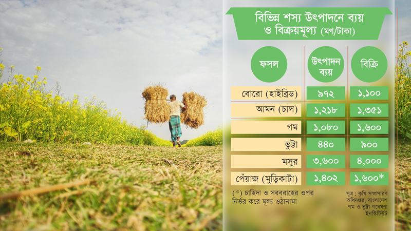 ধানে ব্যয় বেশি, লাভ কম ভুট্টা, ডাল ও বিভিন্ন বিদেশী  ফল চাষে ঝুঁকছেন কৃষক