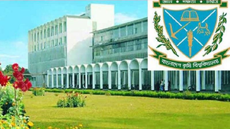 বাকৃবির গবেষণা প্রকল্পের ১৪ ভেড়া চুরি