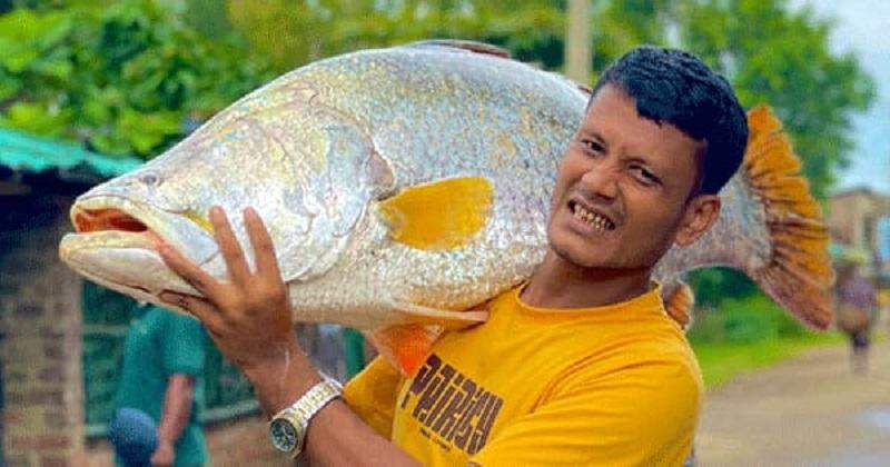 নাফ নদীতে বড়শিতে ধরা পড়ল ২৬ কেজির কোরাল