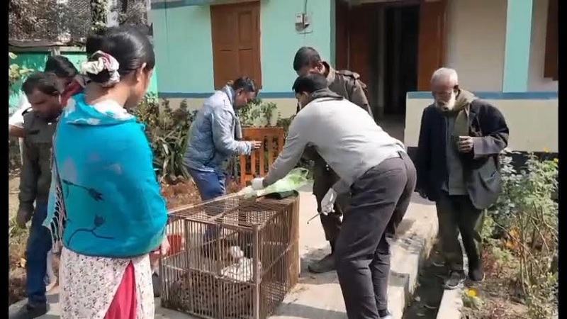 নেত্রকোনায় বিলুপ্তপ্রায় গন্ধবকুল উদ্ধার