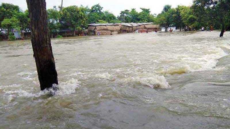 চট্টগ্রামে বন্যায় সাপের কামড়ে আহত ৭৫