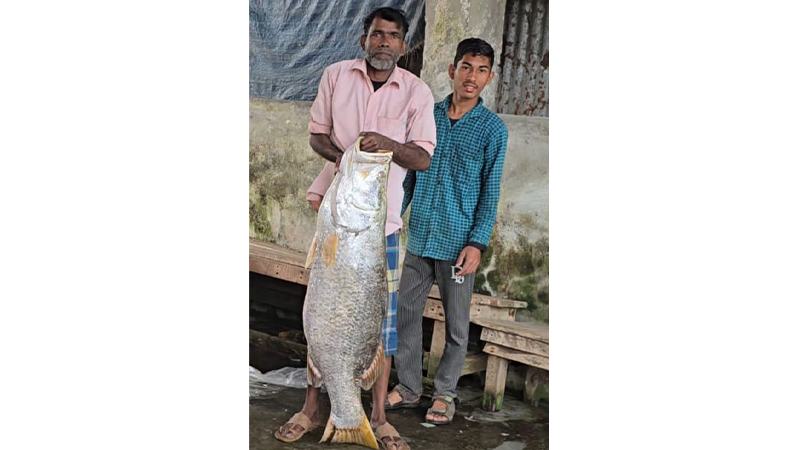 জেলের জালে উঠল সাড়ে ২২ কেজির কোরাল, ১৯ হাজার টাকায় বিক্রি