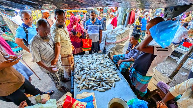 বরগুনায় মাইকিং করে বিক্রি হচ্ছে ইলিশ