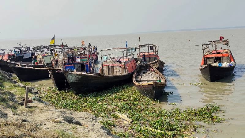 মধ্যরাত থেকে ইলিশ ধরায় ২২ দিনের নিষেধাজ্ঞা