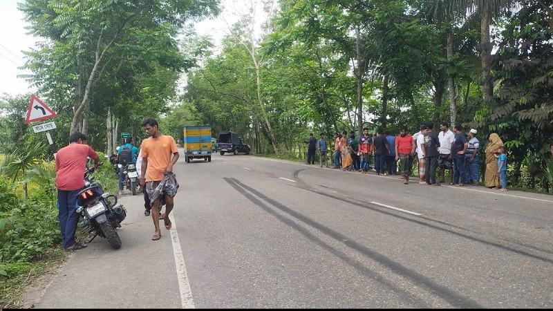 বরিশালে বাসচাপায় দাদি-নাতি নিহত