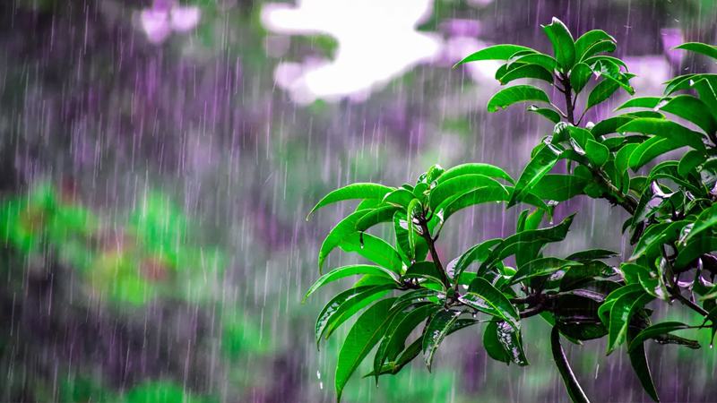 দেশের কোথাও কোথাও বজ্রসহ বৃষ্টি হতে পারে