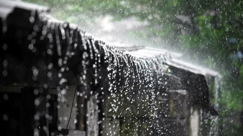 দেশের ৬ বিভাগে আজ বজ্রবৃষ্টির সম্ভাবনা
