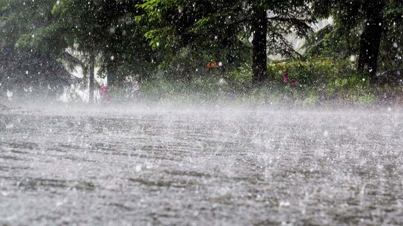 আজও দেশের বিভিন্ন স্থানে বৃষ্টির সম্ভাবনা