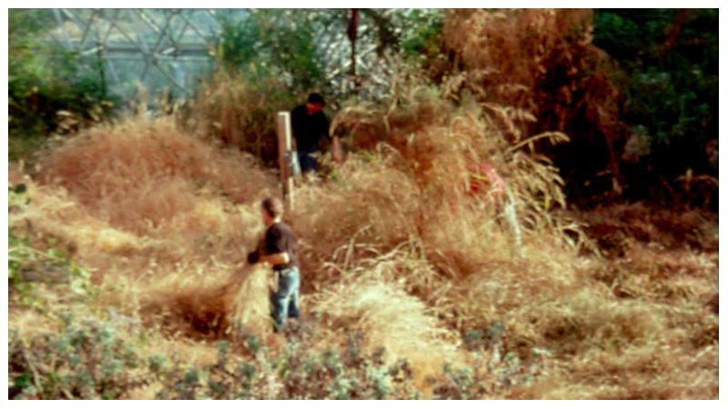 বায়োস্ফিয়ার ২.২