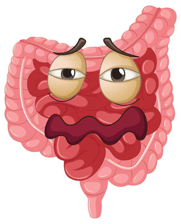 cartoon-digestive-system-with-personality_1308-168560