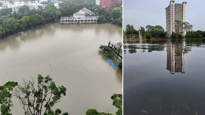 ঢাবির খেলার মাঠে হাঁটুপানি, ক্ষোভে কৈ মাছ ছাড়ল ডাকসু