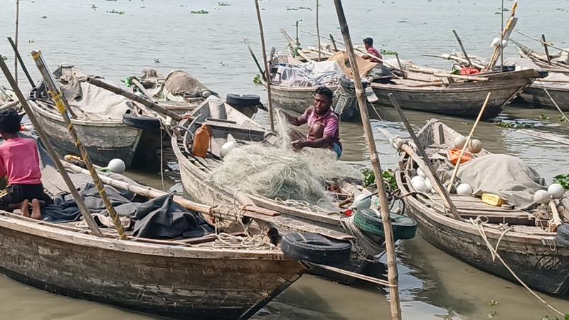 নদীতে ফিরতে প্রস্তুত চাঁদপুরের জেলেরা