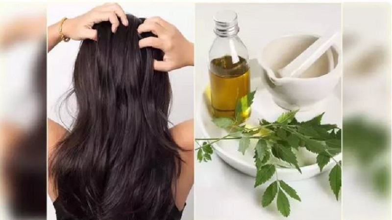 চুলের জন্য কোন তেলের কী কাজ?