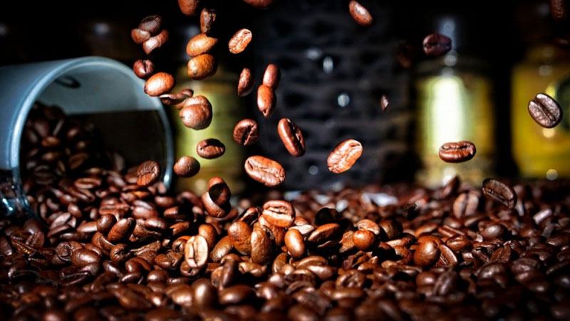 বিশ্ববাজারে রফতানি বেড়েছে কাঁচা কফির