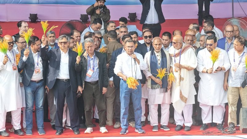 ctg bnp