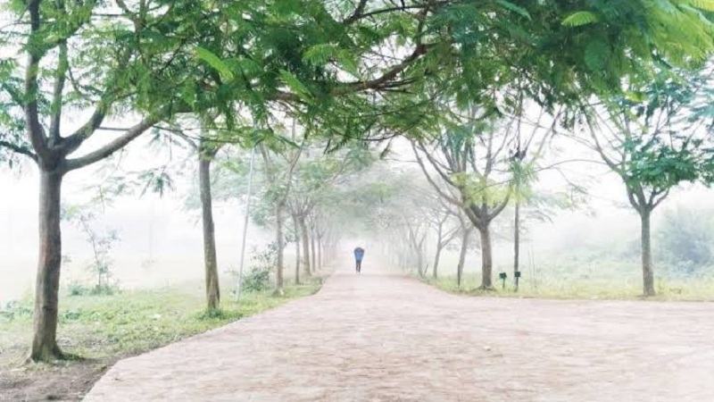 শীতে কুবি ক্যাম্পাস যেন কুয়াশা ও সূর্যের লুকোচুরির খেলাঘর