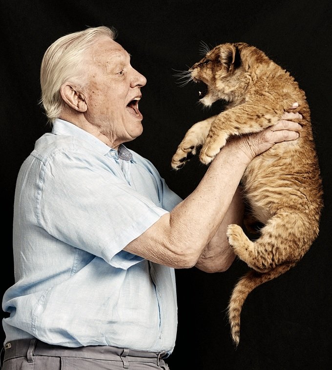david cub