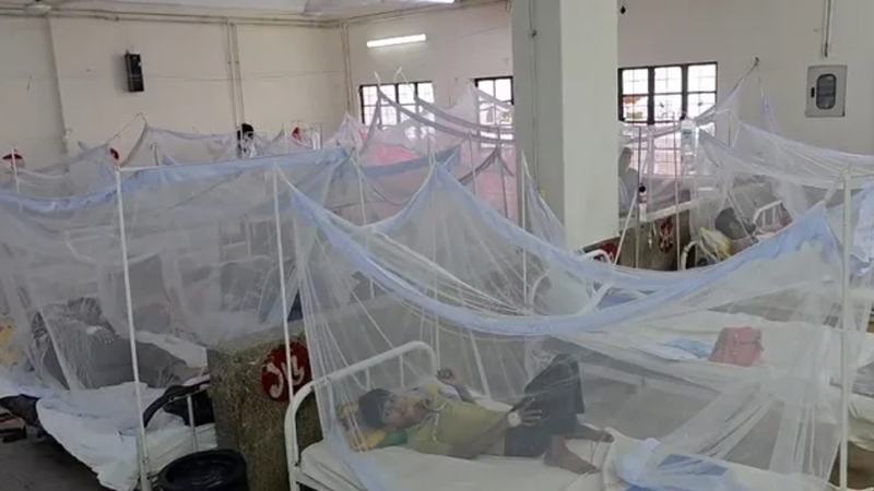 ডেঙ্গুতে একদিনে ৫ মৃত্যু, হাসপাতালে ভর্তি ১,৩৬৬
