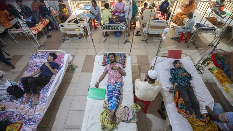 ডেঙ্গুতে ২৪ ঘণ্টায় ৬ জনের মৃত্যু, হাসপাতালে ভর্তি ২ হাজার ৮৮