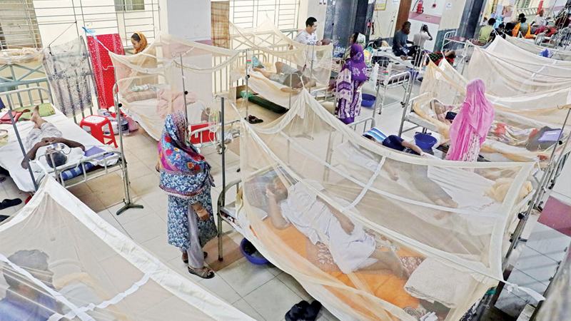 ডেঙ্গুতে ২৪ ঘণ্টায় ৩ জনের মৃত্যু, হাসপাতালে ভর্তি ১২৯৯