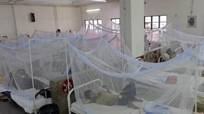ডেঙ্গুতে আরো ৫ জনের মৃত্যু, হাসপাতালে ১৯২০