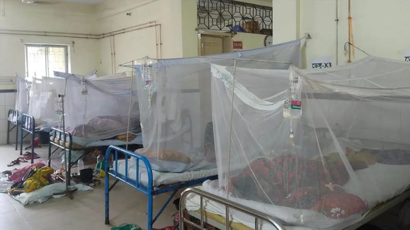 ডেঙ্গুতে ২৪ ঘণ্টায় আরো ৪ জনের মৃত্যু, হাসপাতালে ১৫১২ জন