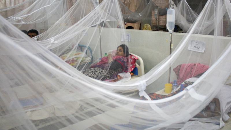 ডেঙ্গুতে একদিনে আরো পাঁচজনের মৃত্যু
