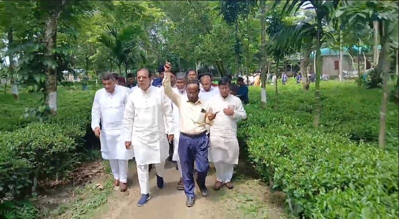 লালমনিরহাটে চা চাষ সম্ভাবনার নতুন দিগন্ত উন্মোচন করেছে : ত্রাণমন্ত্রী