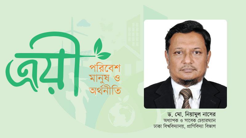 উন্নয়ন ও প্রকৃতির মধ্যে ভারসাম্যের নীতি এখনো গড়ে তুলতে পারিনি